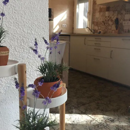 Holiday home Casa Llurgo Deltebre