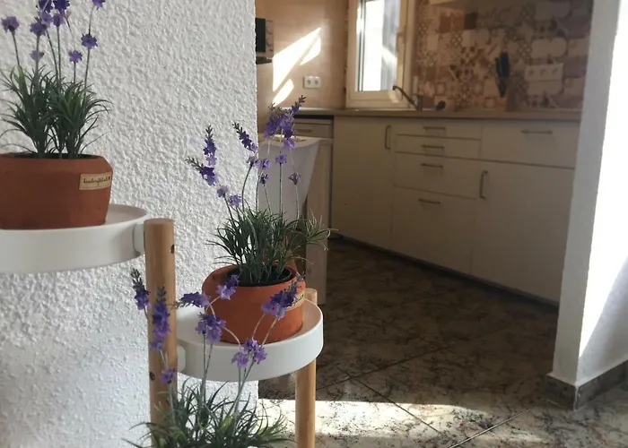 Casa vacanze Casa Llurgo Deltebre